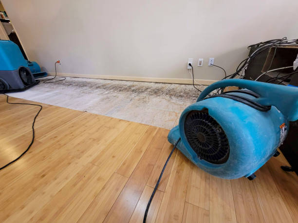 Professional Water Extraction technician working in Van Nuys, CA